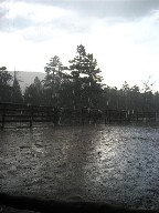Hail Storm at Clarks Fork